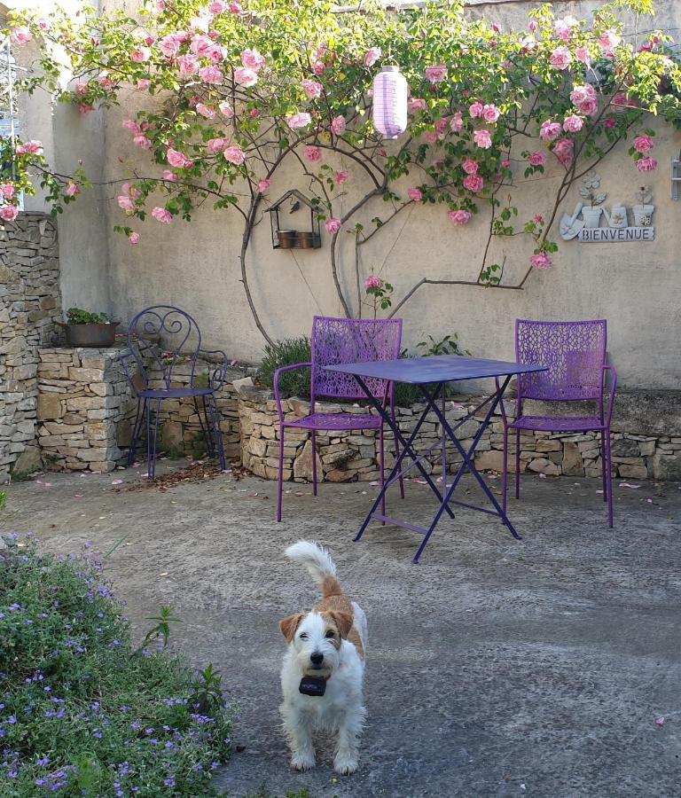 Pause Couleur Lavandula Roussas Luaran gambar