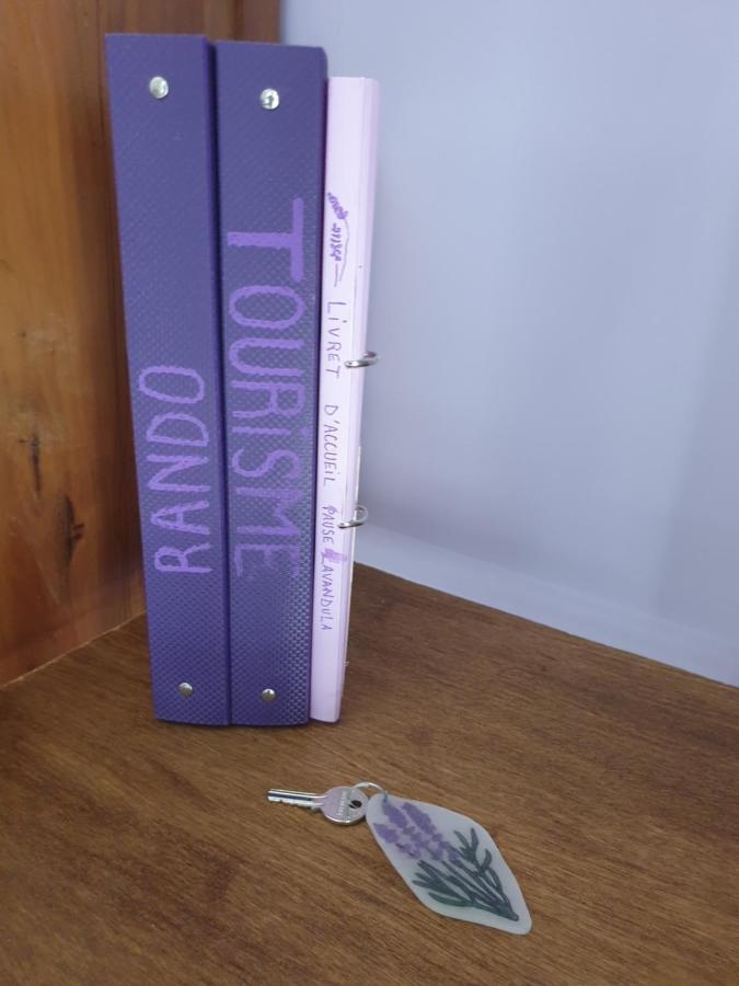 Pause Couleur Lavandula Roussas Luaran gambar