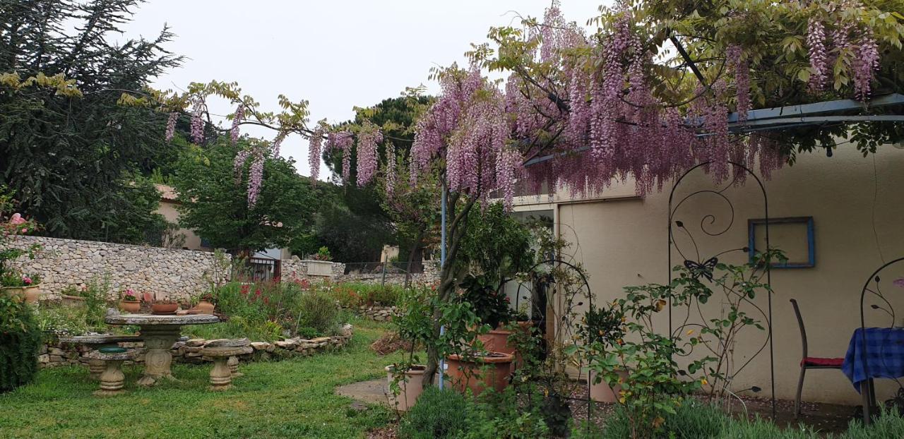 Pause Couleur Lavandula Roussas Luaran gambar