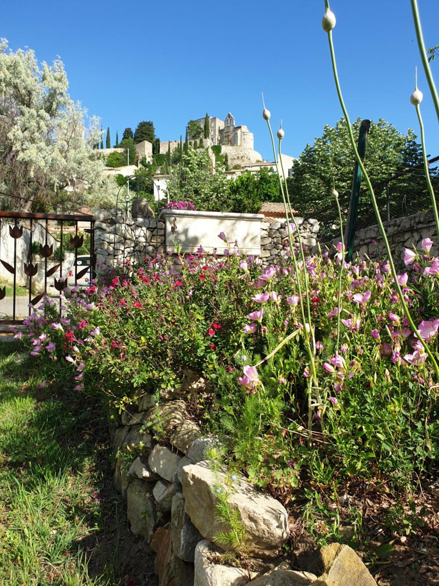 Pause Couleur Lavandula Roussas Luaran gambar