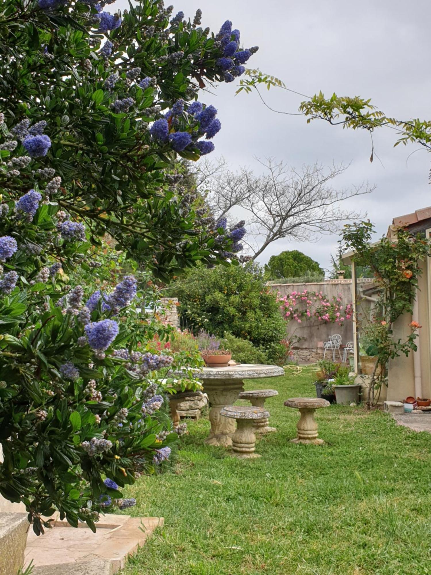 Pause Couleur Lavandula Roussas Luaran gambar